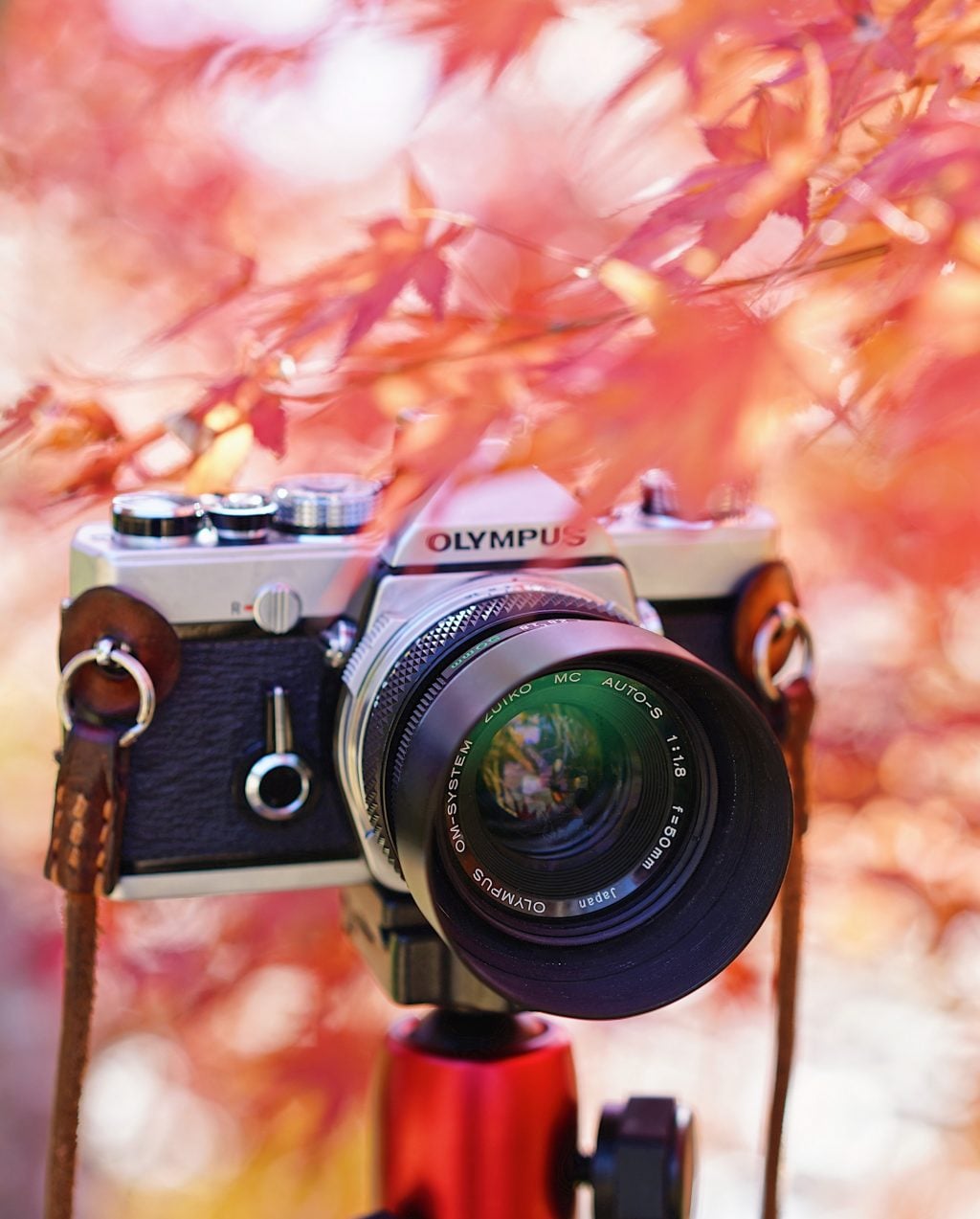 功山寺の紅葉とオリンパスOM-1