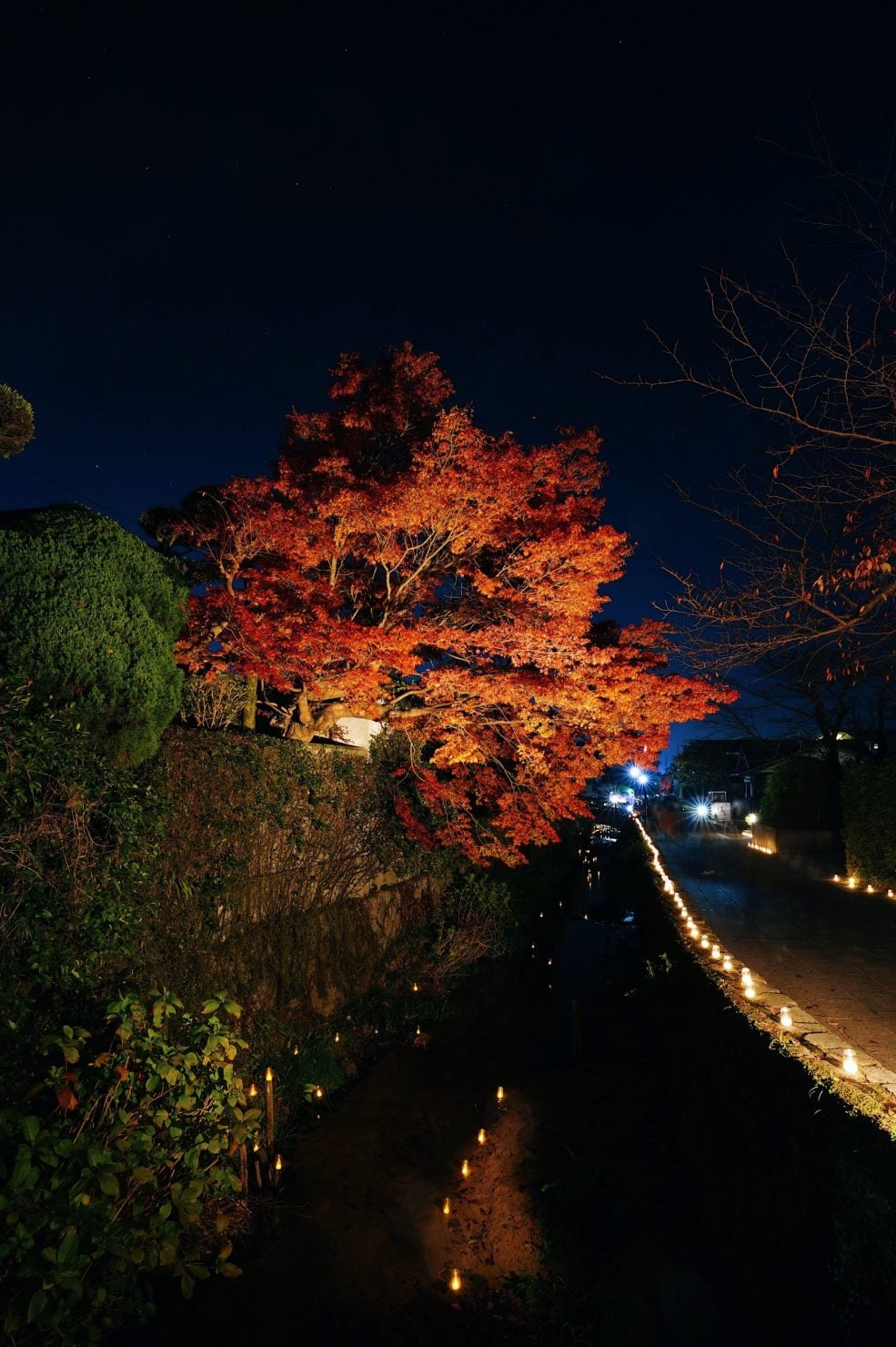 檀具川沿いの紅葉