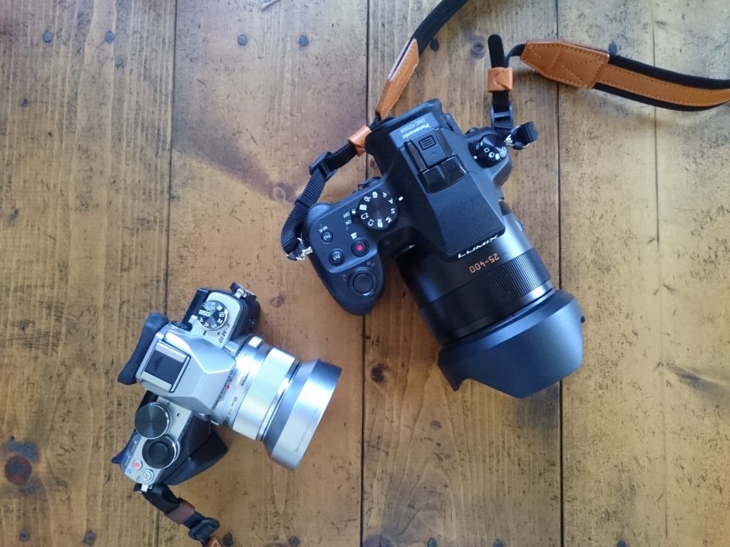 Panasonic LUMIX DMC-FZ1000
