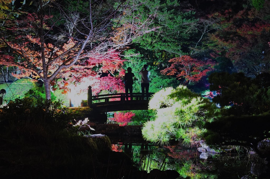 長府庭園ライトアップ