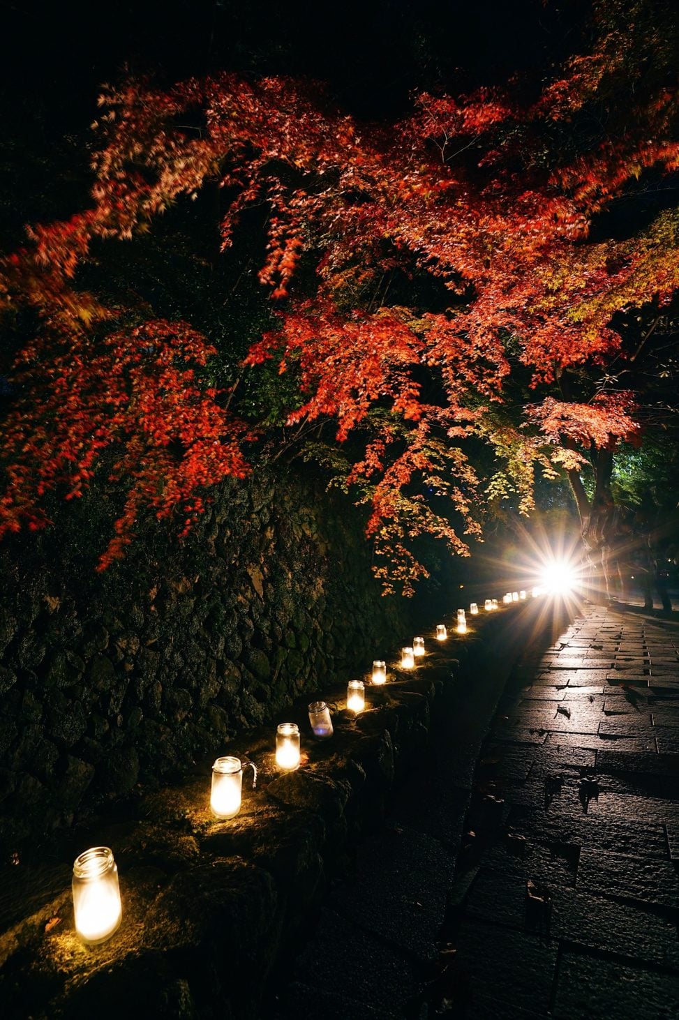 檀具川沿いの紅葉