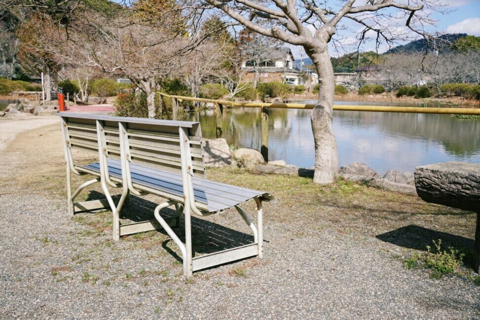 FE 35mm F1.8 絞って撮影（F14）