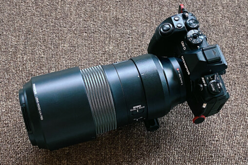 E-M1 markII + M.ZUIKO DIGITAL ED 100-400mm F5.0-6.3 IS