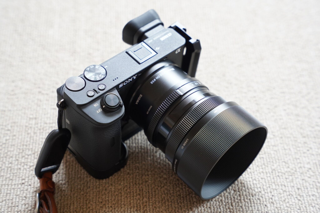 SONY α6600