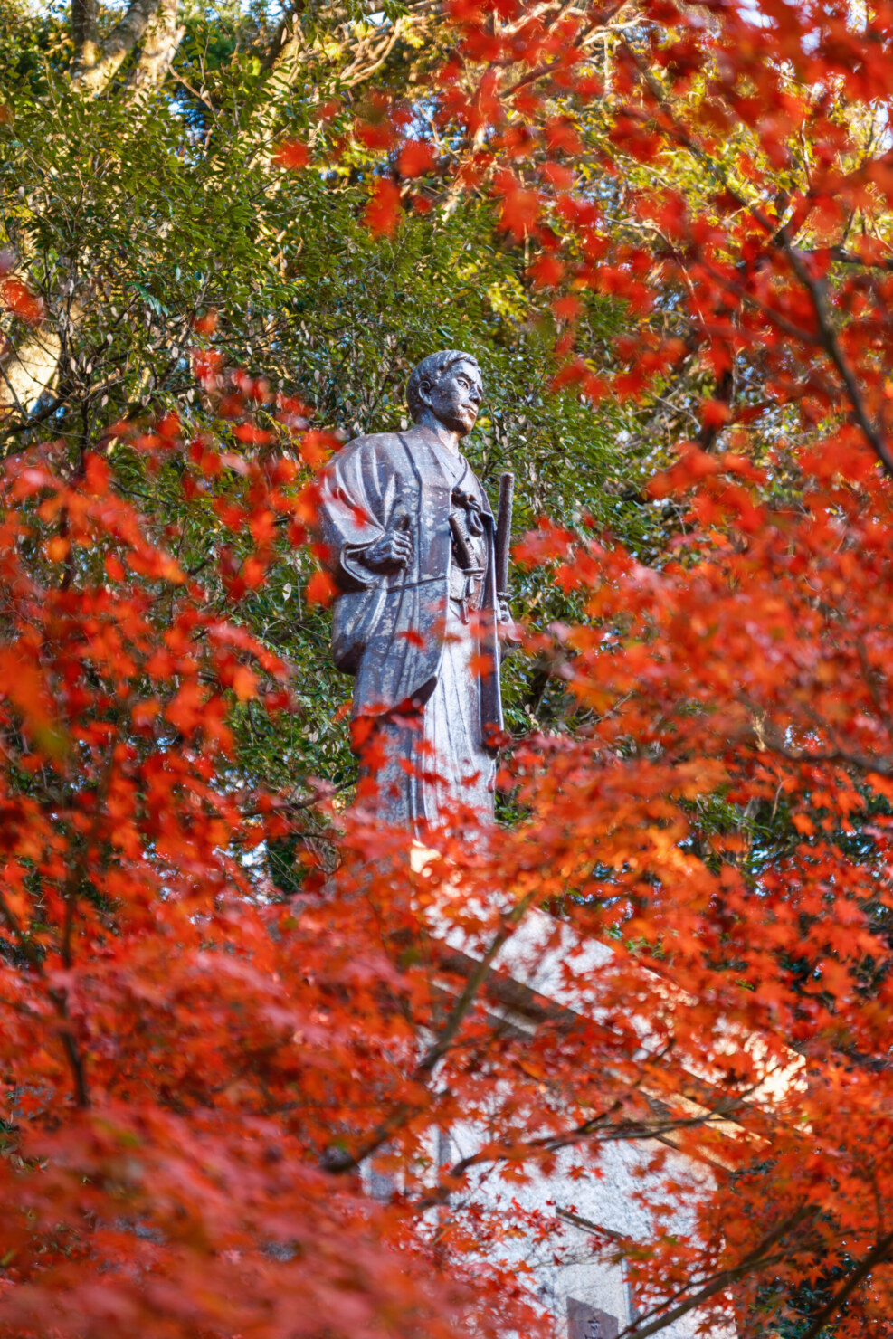 X-T5 + SIGMA 17-40mm F1.8 DC|Art 40mm, F2.0, 1/80s, ISO125