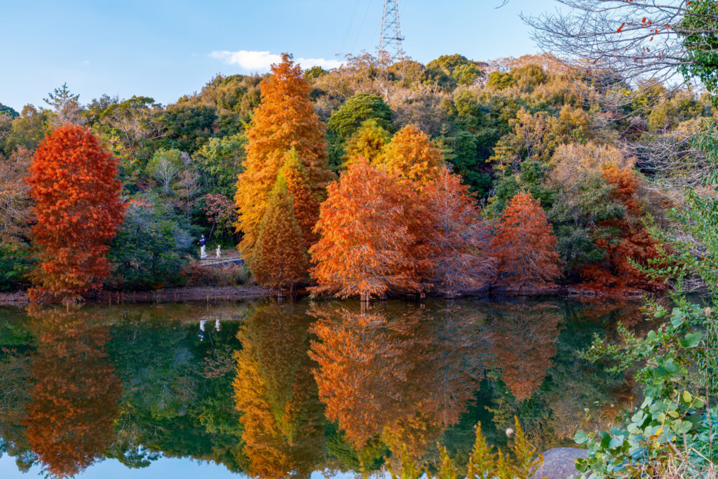 X-T5 + SIGMA 17-40mm F1.8 DC|Art
27.5mm, F7.1, 1/10s, ISO200
