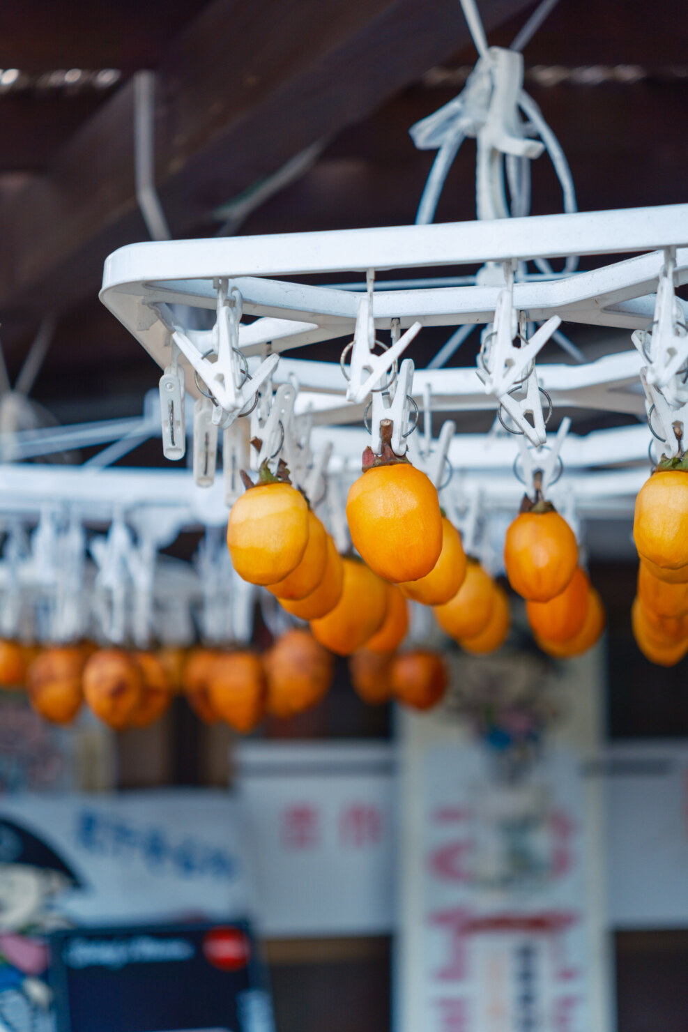 X-T5 + SIGMA 17-40mm F1.8 DC|Art
39.2mm, F1.8, 1/90s, ISO125