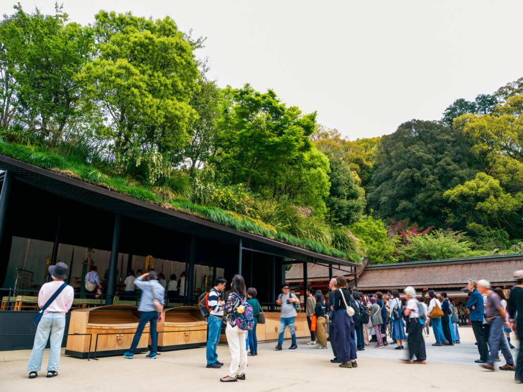 OM-1 Mark II + M.ZUIKO 12-100mm F4.0 IS PRO